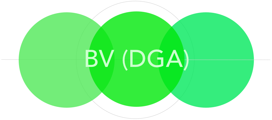 BV (DGA)